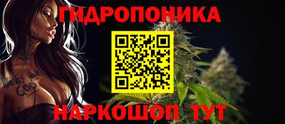 jwh Моздок
