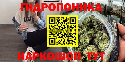 COCAINE Можга