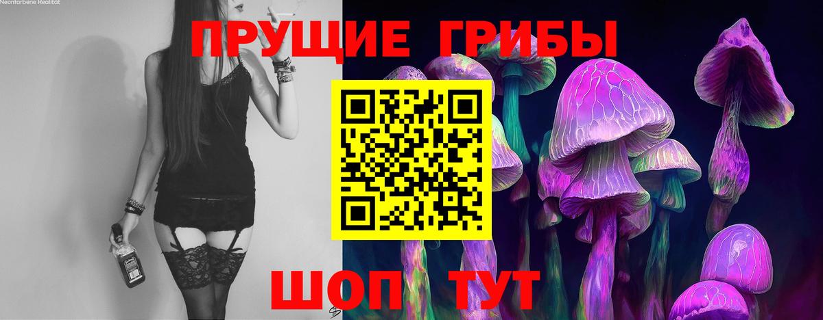 Бугуруслан  Псилоцибиновые грибы ЛСД  Псилоцибиновые грибы Psilocybe  Вход с VPN 